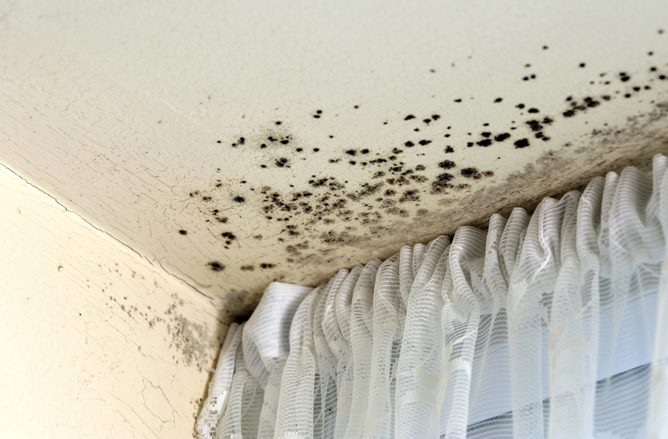 Penetrating damp pathway in Bournemouth